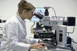Mikroskopieren im Labor